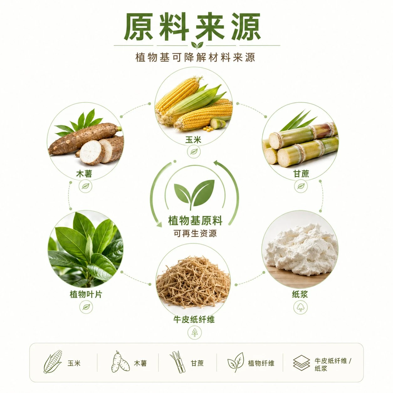 植物基 可降解材料 